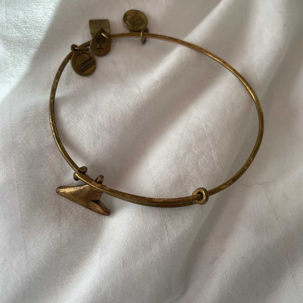 Alex and Ani Shark Fin Bracelet